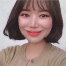 보니헤어 이미지