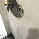 수원-1313 이미지