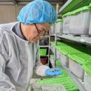 쌍둥이 농원 이미지