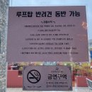 134 | 양산 증산역 카페 아이랑 굴뚝빵 먹기 좋았던 에스파스134 후기