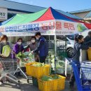 전북생강농업협동조합 이미지