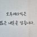 모루세라믹