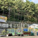 안심사슴농장 이미지