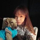 해자연캠핑장 이미지