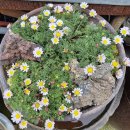 그림정원 이미지