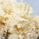 삼가리 농장 이미지