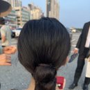 헤어술람미