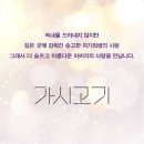 호크종합동물병원 이미지