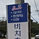 양남비치