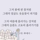 핑크스토리 이미지