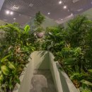 상상하는 아시아 이미지