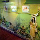 성산패총유물전시관 이미지