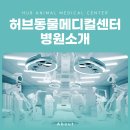 마석동물병원 이미지