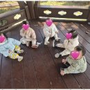 푸른꿈어린이집 이미지