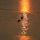 만석공원 이미지