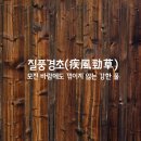 질풍경초