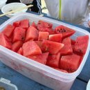 반딧불이펜션 | 밀양 아이랑 당일치기 물놀이 평상 대여 반딧불이 펜션