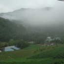 법흥1리 이미지