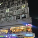 마포구청역 스시린 회덮밥 혼밥후기 내돈내산