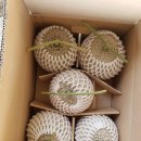 효정농장 이미지