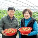 이순복농장 이미지