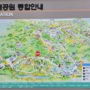 동문불고기