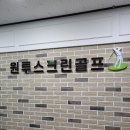 인투 스크린 골프 이미지