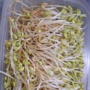 점심 반찬하려고 이것 저것 자르고 땃어요. 이미지