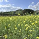 (주)텔로스 이미지