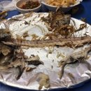 마로니에 | 부산 서면 애견동반 야장 포차｜밀양마로니에포차 솔직후기