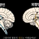 내향 이미지