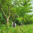 웅지승마센터 | 제주도 가족여행 아이와 가볼만한 곳 - 웅지승마센터 아이들이 너무 좋아했어요. "완전 강추"