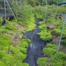 큰골농장 이미지