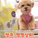 청주 강아지수제간식 멍멍상회 가경점 강아지 케이크 수제간식추천