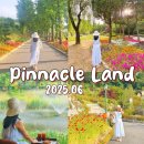 피나클랜드 수목원 6월 | 양귀비와 수국이 반겨주는 초여름에 방문했다.