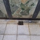 우성스포츠센터 보석사우나 이미지