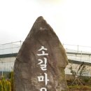 휘석지질 이미지