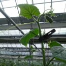 연동2농장 이미지