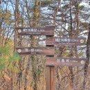 대룡산주차장(간이화장실) 이미지