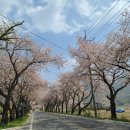 카페달리아 삼랑진 이미지