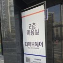 디아브헤어 이미지