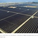 유니 태양광발전소 이미지