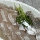 청주맛집 | 회한첨 내돈내산 포장후기 | 청주횟집추천 숙성회맛집 복대동횟집 비하동횟집 추천 포장맛집