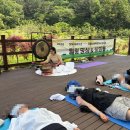 마음을 담는 싱잉볼 명상&요가 B | [수업 후기] 계족산 숲속 힐링 여정 : 자연 명상과 감정 아로마, 그리고 사운드배스