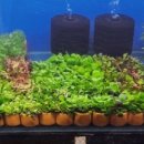 군산수족관 이미지