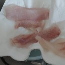 수진좌대 이미지