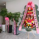 다락원격평생교육원 네이버블로그