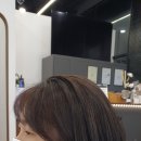 파브룸