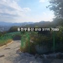 동정동010 이미지