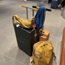 부부카공업사 | 내돈내산 제주 쏘카, 쏘카 제주터미널 절대 비추 후기